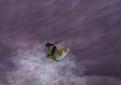 Sunny Garcia's Surfing - PS2 Screen