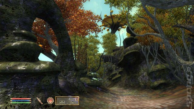 The Elder Scrolls IV: Shivering Isles - PC Screen