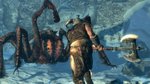 New Skyrim Collectors Edition and Loads of Screens Right Here News image