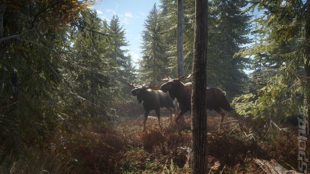 theHunter: Call of the Wild 2019 Edition - PC Screen