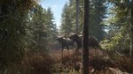 theHunter: Call of the Wild 2019 Edition - PS4 Screen