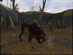 The Lord of the Rings Online: Shadows of Angmar - PC Screen