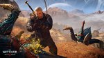 The Witcher 3: Wild Hunt: Game of the Year Edition - PC Screen