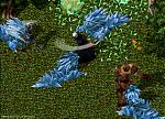 New Ultima online screens News image