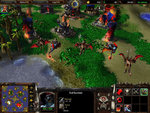 Warcraft III: Reign of Chaos - PC Screen