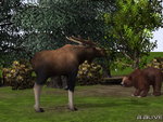 Wildlife Park 2 - PC Screen