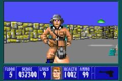 Wolfenstein 3D - GBA Screen