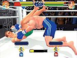 World Fighting - PS2 Screen